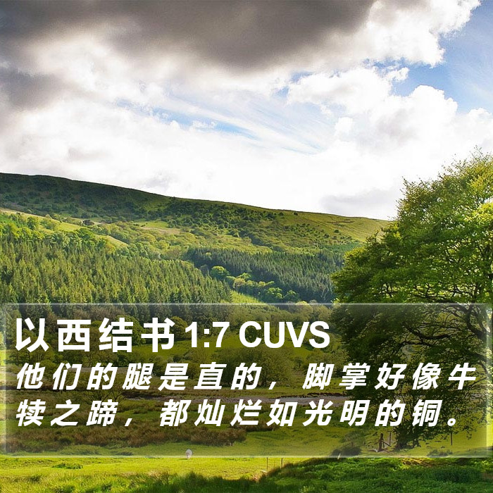 以 西 结 书 1:7 CUVS Bible Study