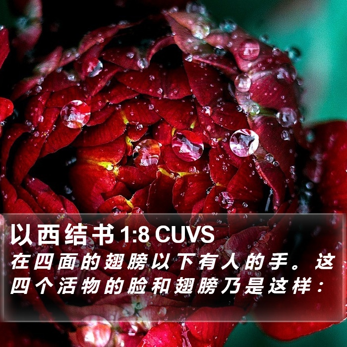 以 西 结 书 1:8 CUVS Bible Study