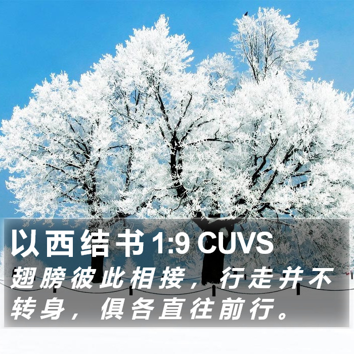 以 西 结 书 1:9 CUVS Bible Study