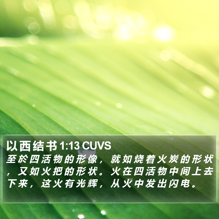 以 西 结 书 1:13 CUVS Bible Study