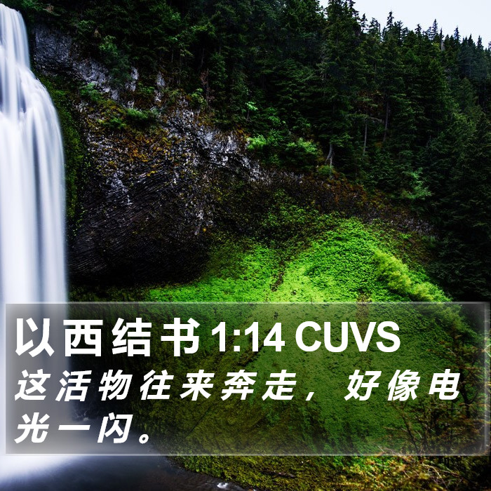 以 西 结 书 1:14 CUVS Bible Study