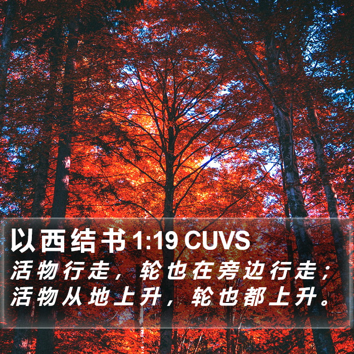 以 西 结 书 1:19 CUVS Bible Study