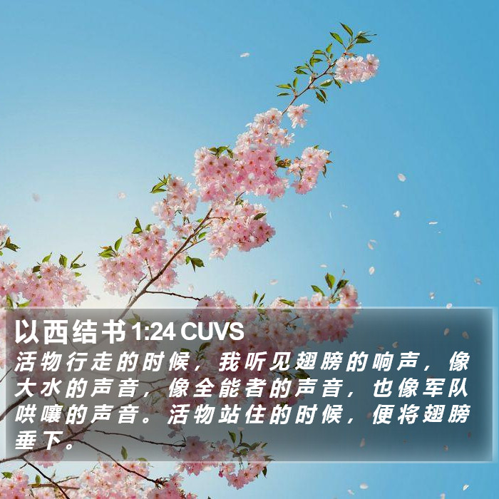 以 西 结 书 1:24 CUVS Bible Study