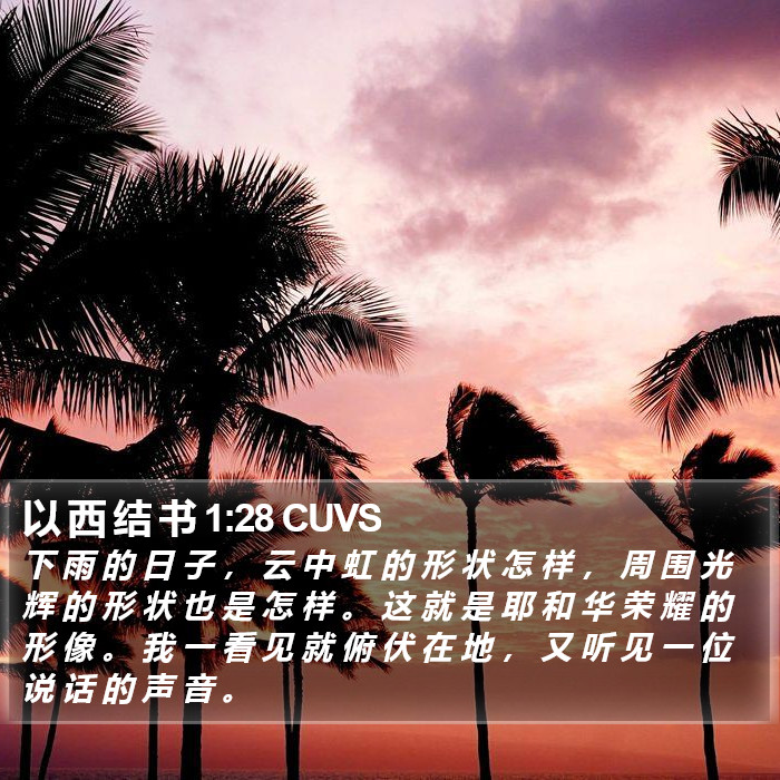 以 西 结 书 1:28 CUVS Bible Study