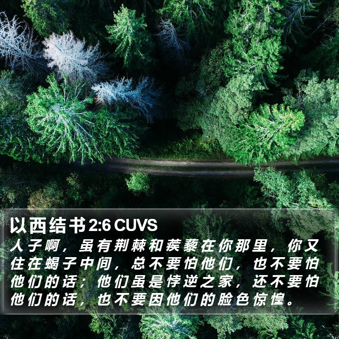 以 西 结 书 2:6 CUVS Bible Study