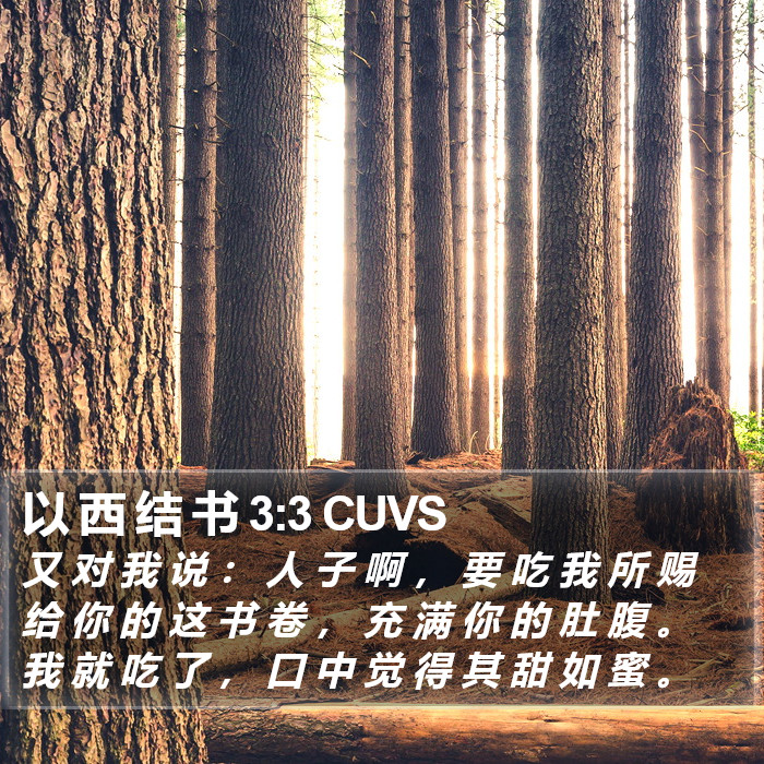 以 西 结 书 3:3 CUVS Bible Study