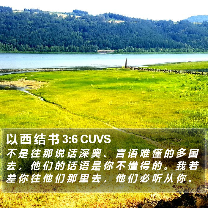 以 西 结 书 3:6 CUVS Bible Study