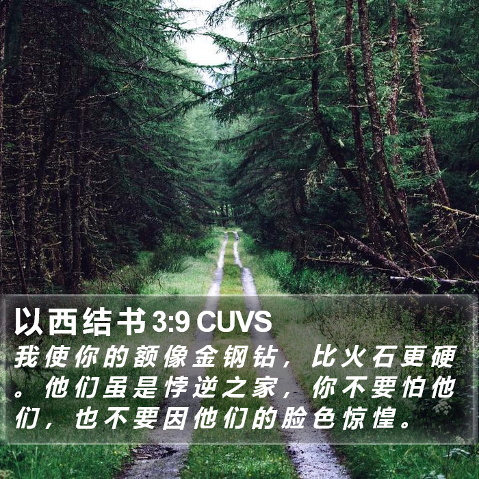 以 西 结 书 3:9 CUVS Bible Study