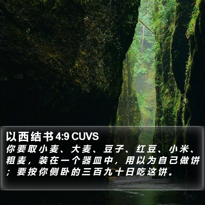 以 西 结 书 4:9 CUVS Bible Study