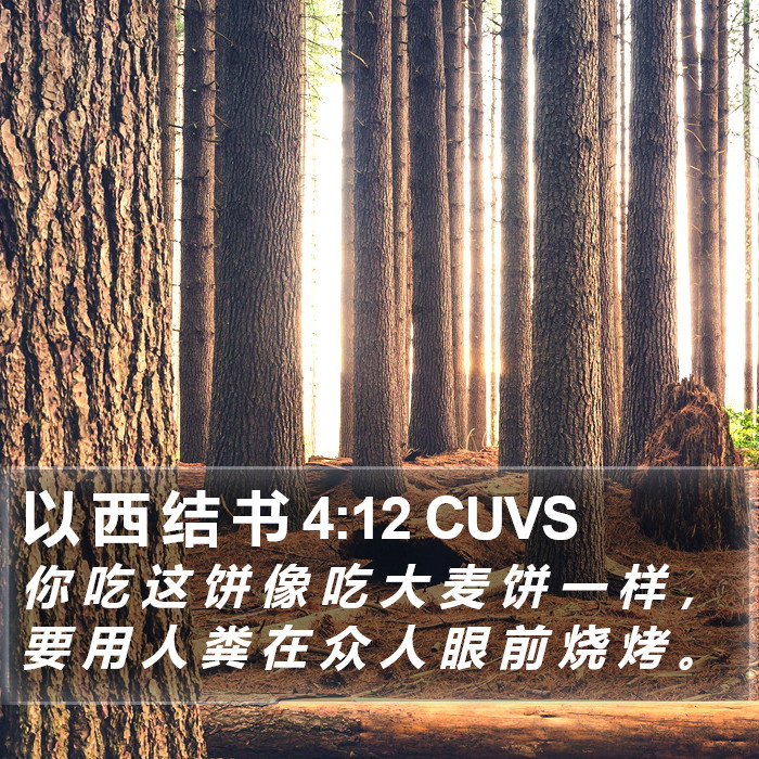 以 西 结 书 4:12 CUVS Bible Study
