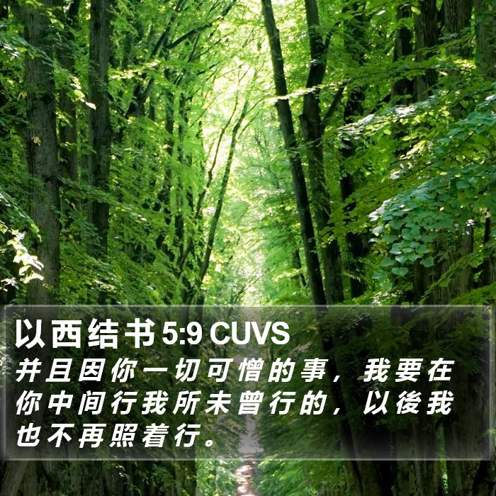 以 西 结 书 5:9 CUVS Bible Study