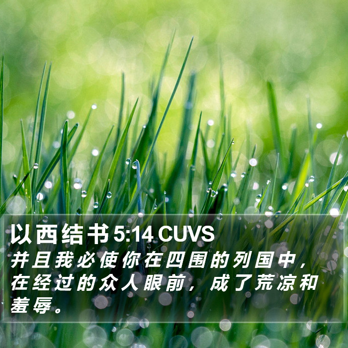 以 西 结 书 5:14 CUVS Bible Study