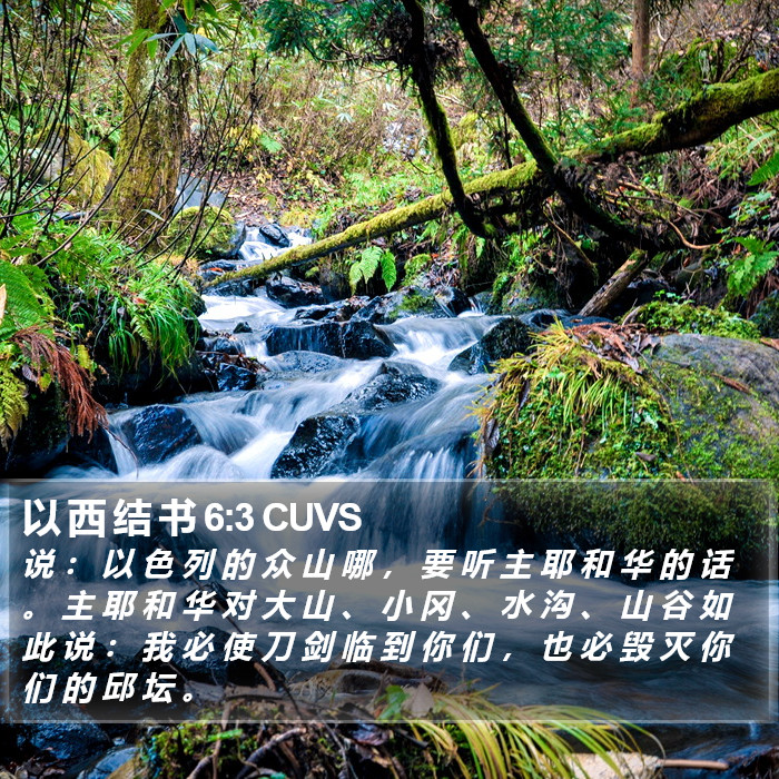 以 西 结 书 6:3 CUVS Bible Study