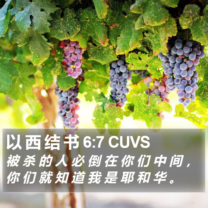 以 西 结 书 6:7 CUVS Bible Study