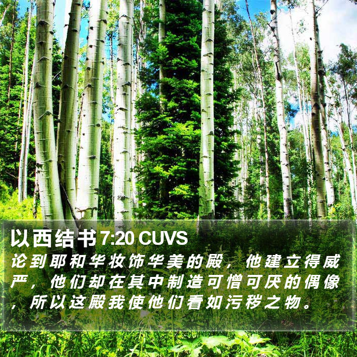 以 西 结 书 7:20 CUVS Bible Study