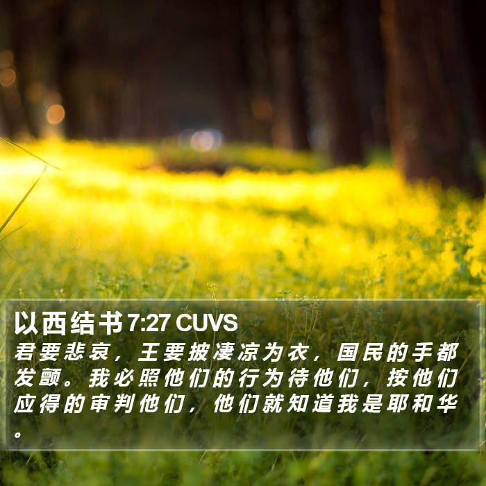 以 西 结 书 7:27 CUVS Bible Study