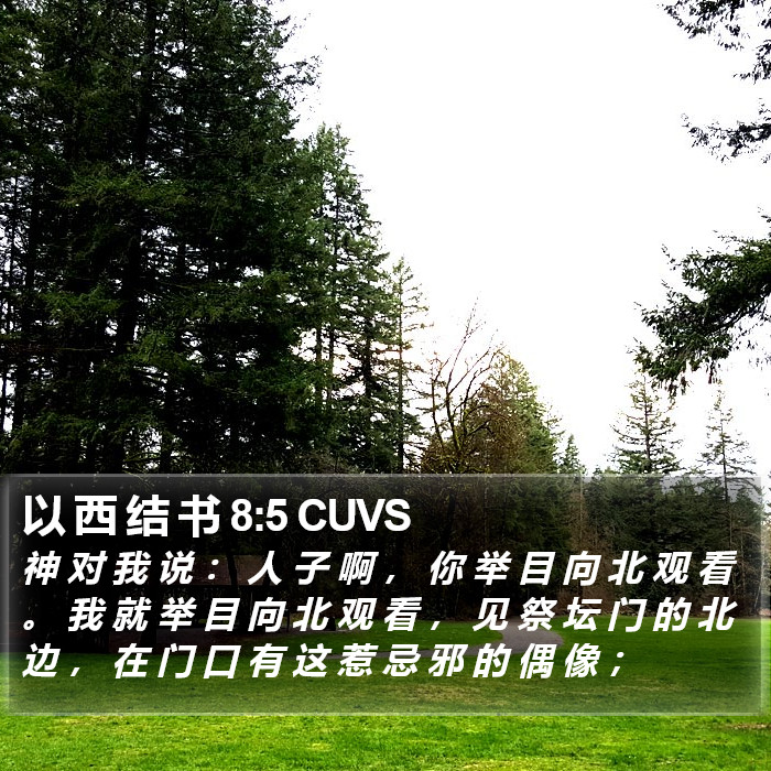 以 西 结 书 8:5 CUVS Bible Study