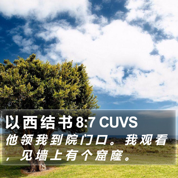 以 西 结 书 8:7 CUVS Bible Study
