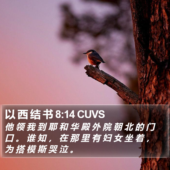 以 西 结 书 8:14 CUVS Bible Study