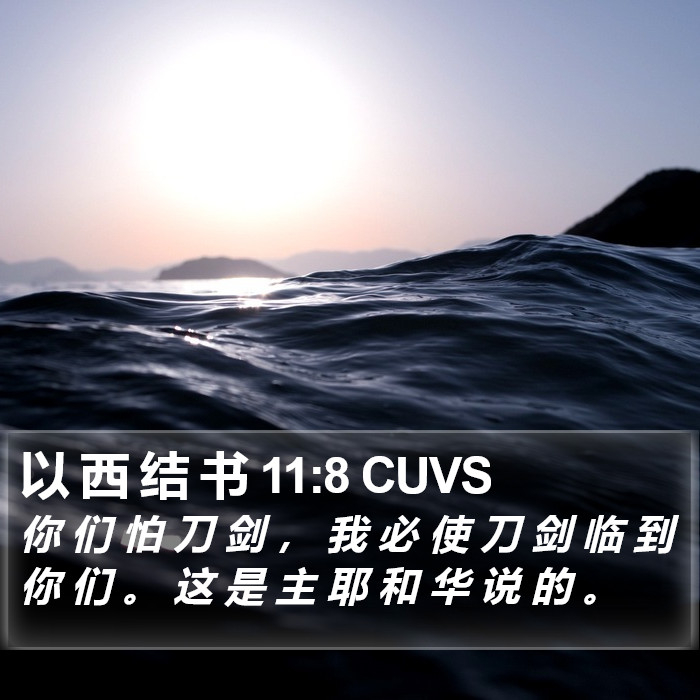 以 西 结 书 11:8 CUVS Bible Study