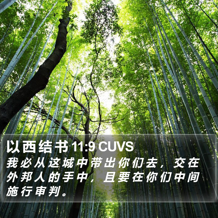 以 西 结 书 11:9 CUVS Bible Study