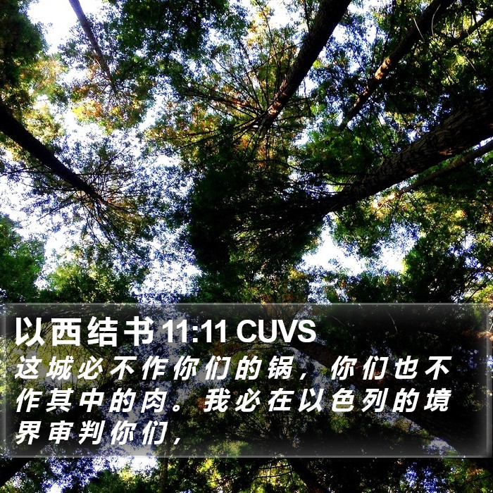 以 西 结 书 11:11 CUVS Bible Study