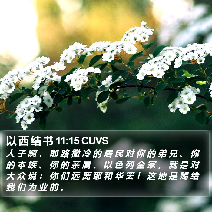 以 西 结 书 11:15 CUVS Bible Study