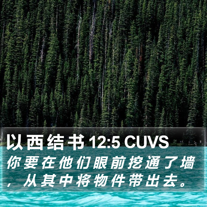 以 西 结 书 12:5 CUVS Bible Study