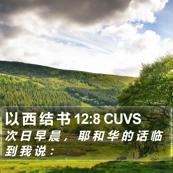 以 西 结 书 12:8 CUVS Bible Study