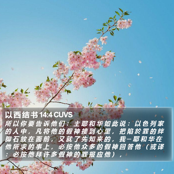 以 西 结 书 14:4 CUVS Bible Study