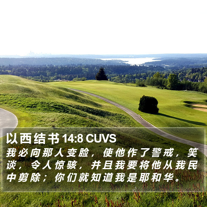 以 西 结 书 14:8 CUVS Bible Study