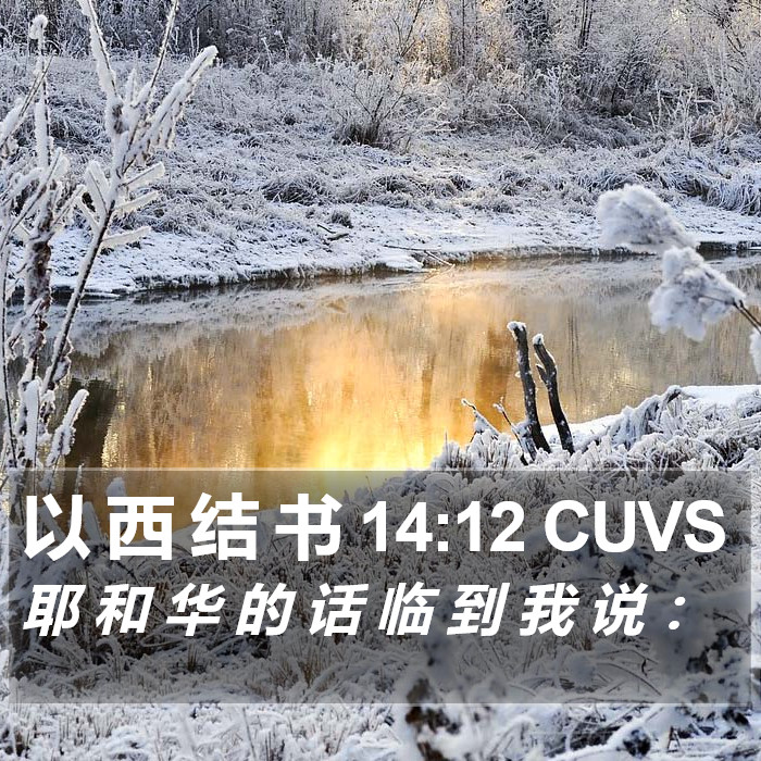 以 西 结 书 14:12 CUVS Bible Study