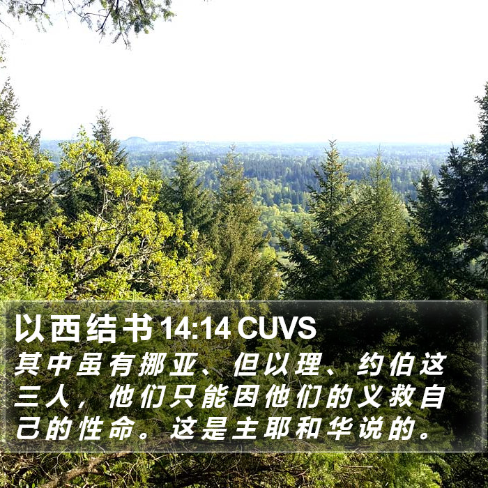 以 西 结 书 14:14 CUVS Bible Study