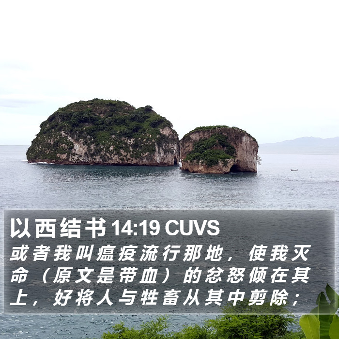 以 西 结 书 14:19 CUVS Bible Study