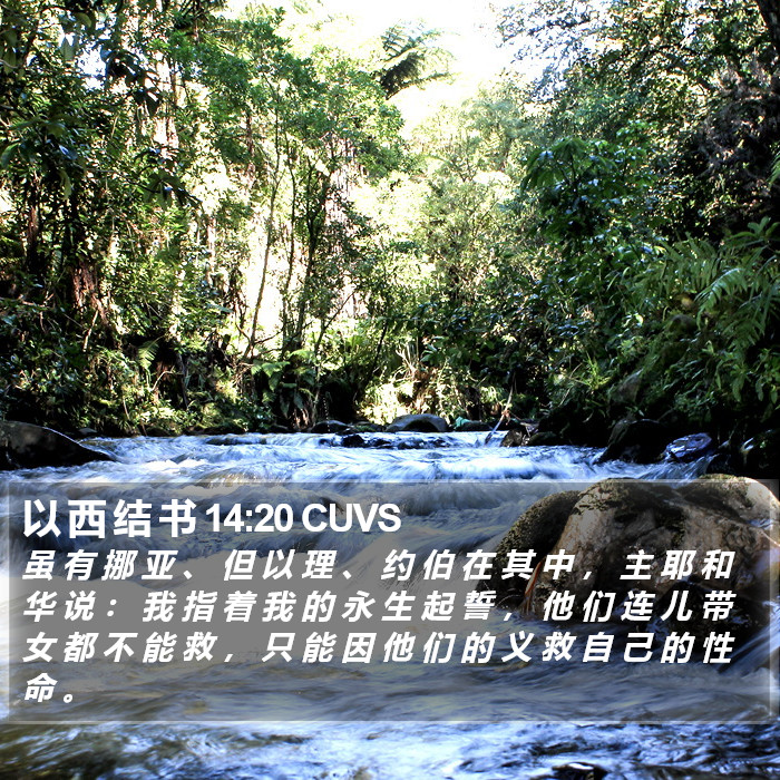以 西 结 书 14:20 CUVS Bible Study
