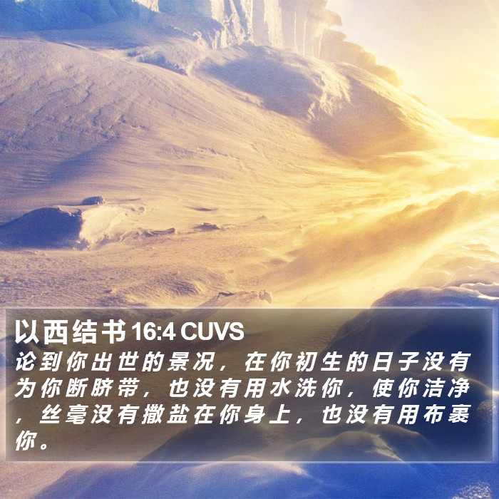 以 西 结 书 16:4 CUVS Bible Study