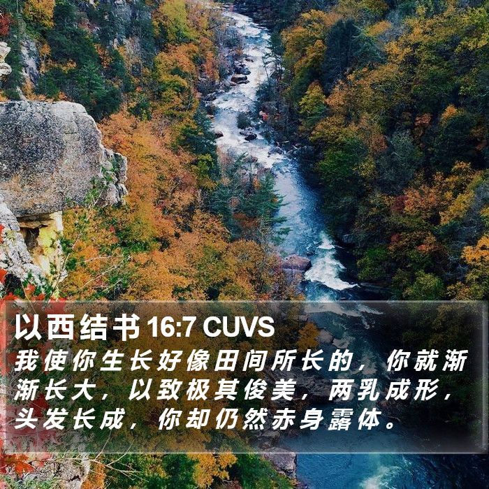 以 西 结 书 16:7 CUVS Bible Study