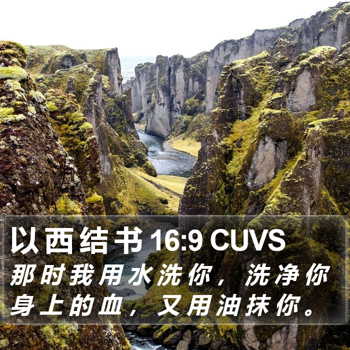 以 西 结 书 16:9 CUVS Bible Study