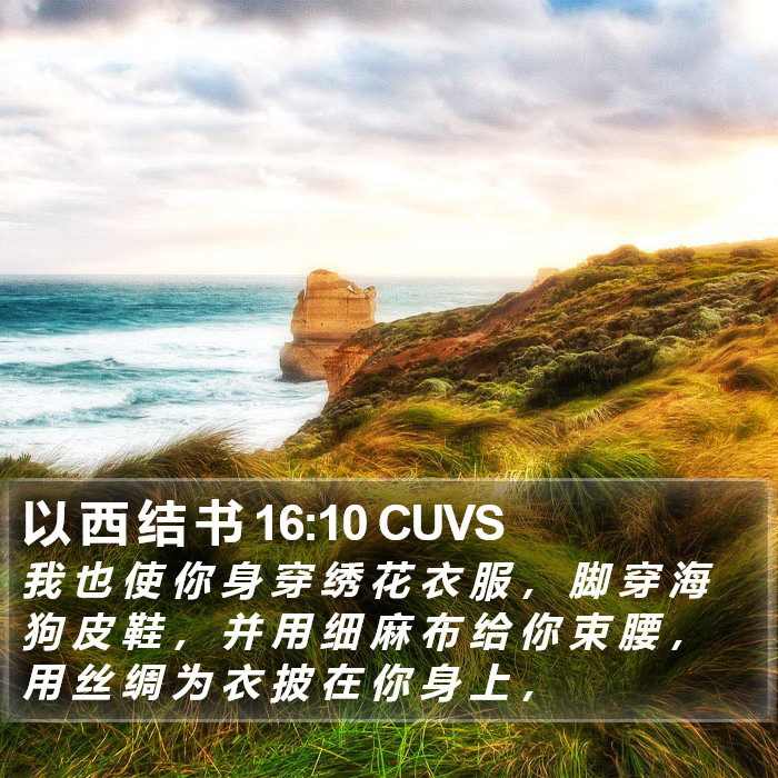 以 西 结 书 16:10 CUVS Bible Study