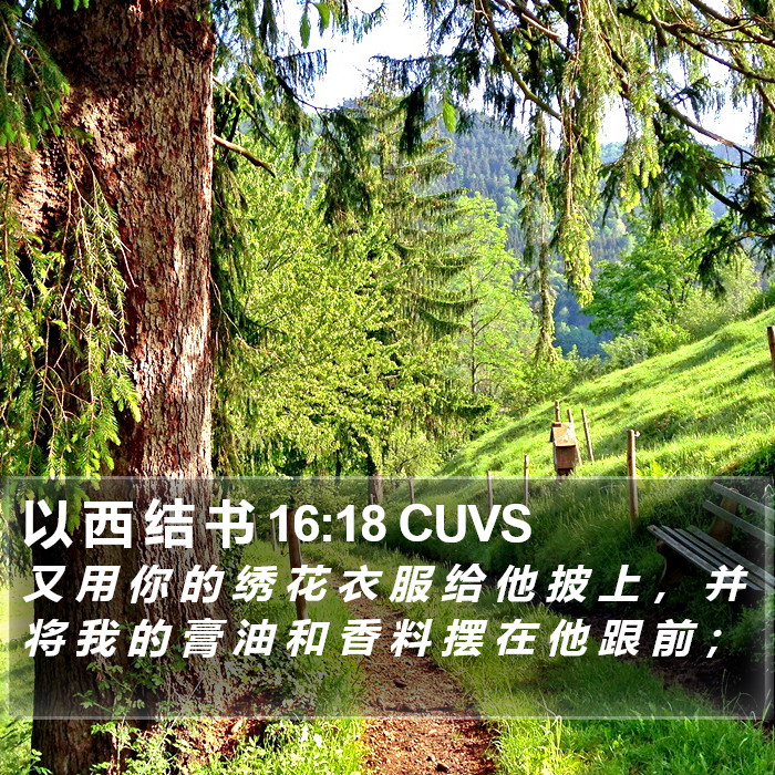 以 西 结 书 16:18 CUVS Bible Study