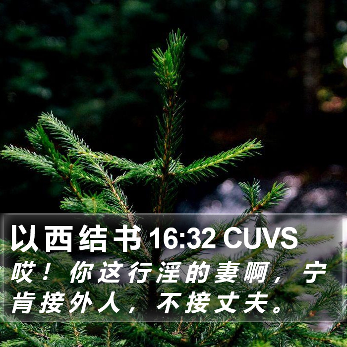 以 西 结 书 16:32 CUVS Bible Study