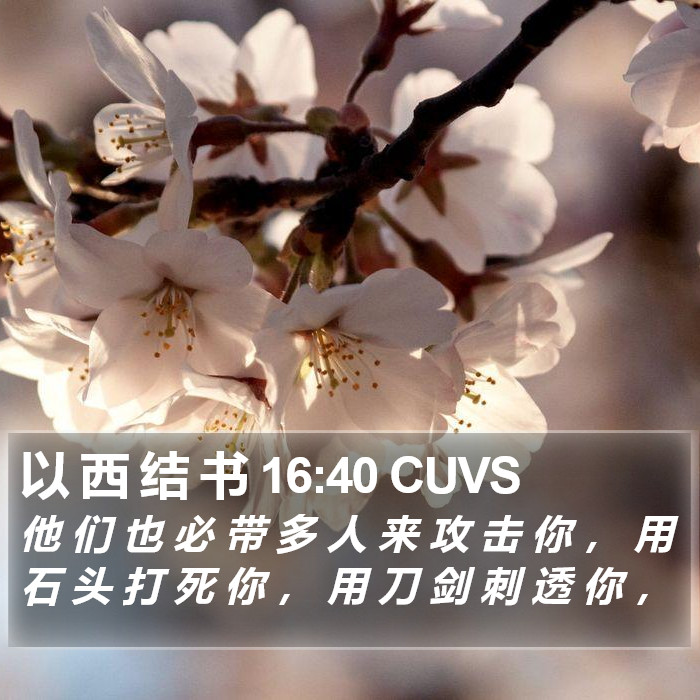 以 西 结 书 16:40 CUVS Bible Study