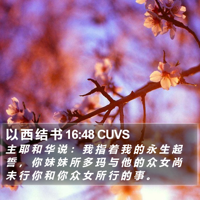 以 西 结 书 16:48 CUVS Bible Study