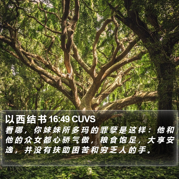 以 西 结 书 16:49 CUVS Bible Study