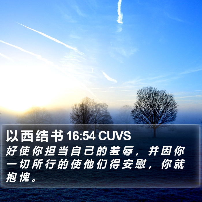 以 西 结 书 16:54 CUVS Bible Study