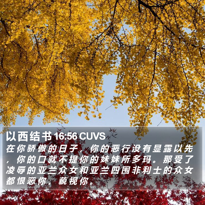 以 西 结 书 16:56 CUVS Bible Study