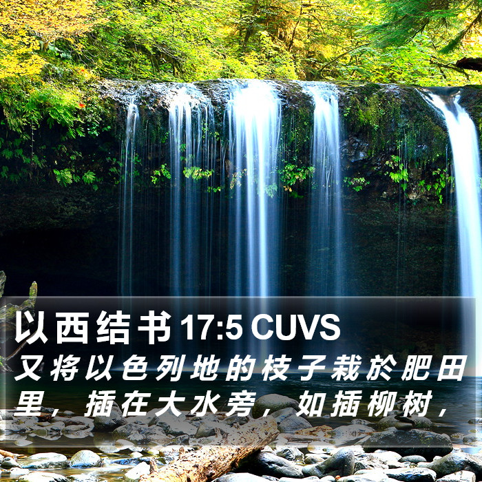以 西 结 书 17:5 CUVS Bible Study