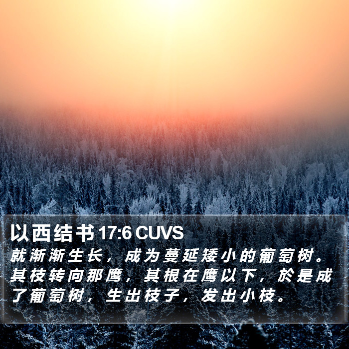 以 西 结 书 17:6 CUVS Bible Study
