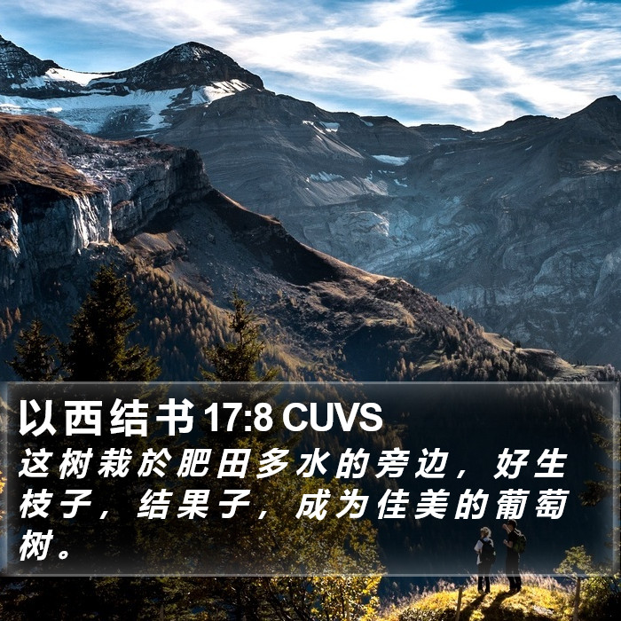 以 西 结 书 17:8 CUVS Bible Study