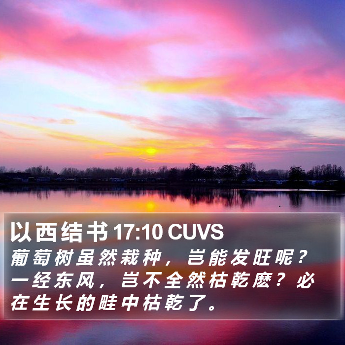 以 西 结 书 17:10 CUVS Bible Study